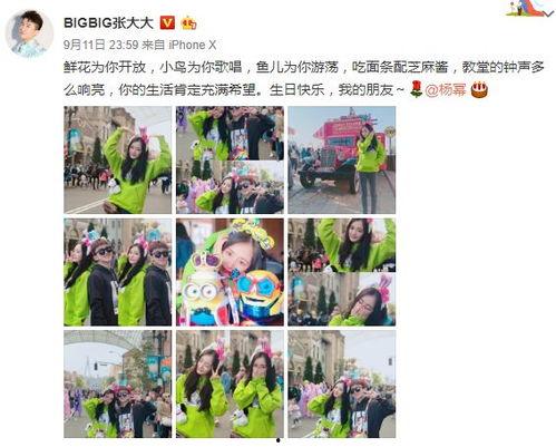 只站队吃瓜,揭秘网络现象背后的心理与社会动因