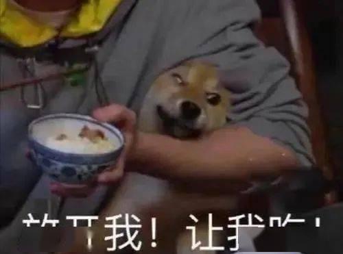 老板带我们吃瓜,揭秘职场欢乐时光