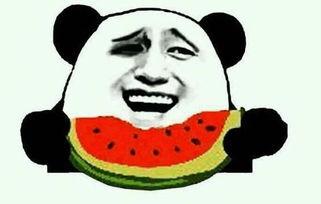 金夏吃瓜后续,揭秘娱乐圈风云再起