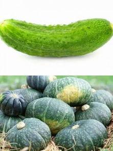 立夏吃的瓜还是立秋吃瓜,立秋瓜熟蒂落