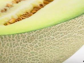 带瓤吃的瓜,探索带瓤瓜果的独特魅力