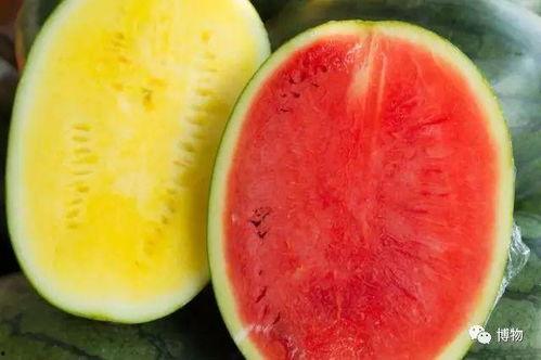 带瓤吃的瓜,探索带瓤瓜果的独特魅力