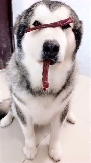 绝望吃瓜,揭秘娱乐圈背后的残酷真相