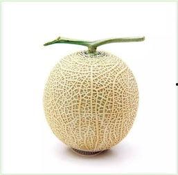 古法吃瓜,穿越时空的清凉体验