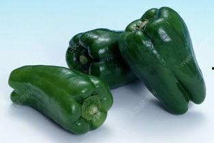 吃辣瓜胖吗,揭秘吃辣瓜是否会导致发胖