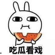 奶龙吃瓜表情,揭秘网络新宠的趣味魅力