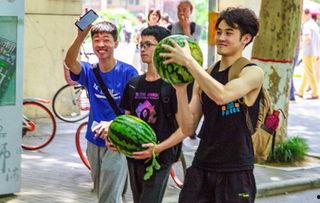 郑州高校吃瓜事件,校园风波背后的真相与反思