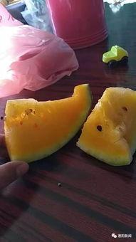 良老六吃瓜,揭秘娱乐圈背后的那些事儿