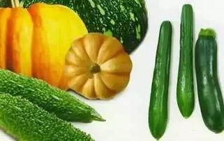 苏夕吃瓜,揭秘娱乐圈背后的那些事儿