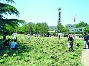 天津美院吃瓜爆料,揭秘校园风云背后的真相