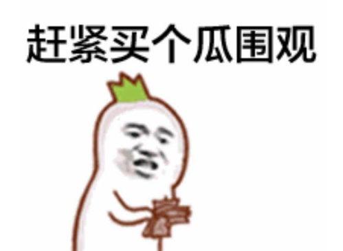 吃瓜表情怎么演,揭秘网络热梗背后的趣味与智慧