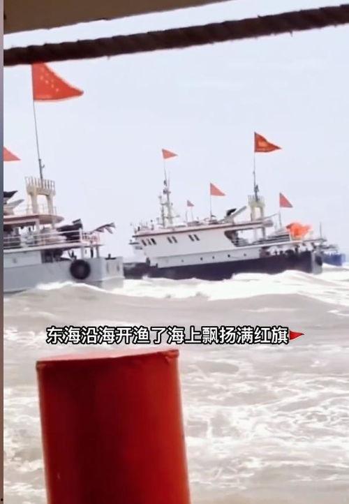 中国吃瓜船只,揭秘海上美食探险之旅