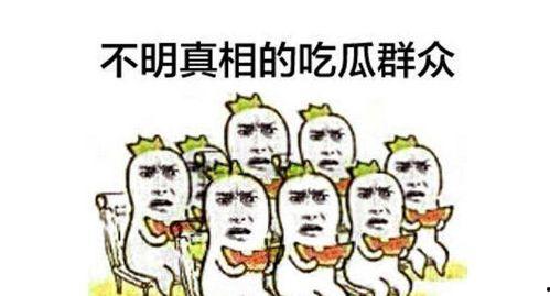 吃瓜群众npc,揭秘网络舆论场的幕后推手