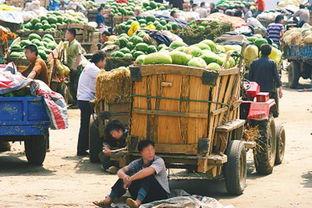路边吃的瓜群众,街头美食背后的故事