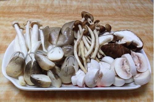 真实吃瓜爆料蘑菇