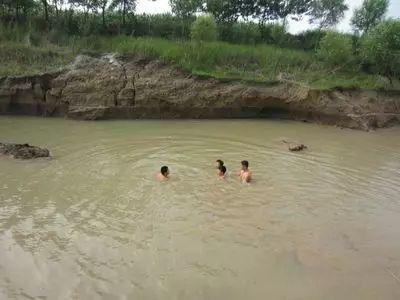 小白瓜图片怎么吃,小白瓜图片教你轻松美味吃法