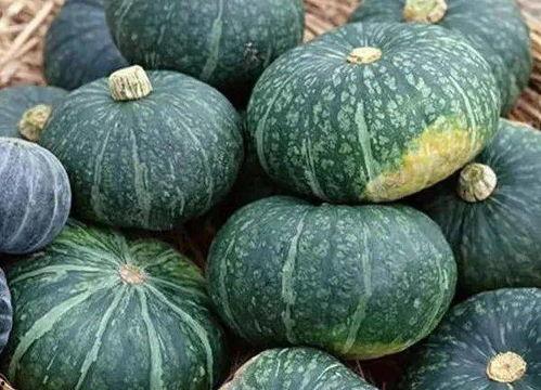 吃板栗瓜好吗,板栗瓜的营养价值与食用益处解析