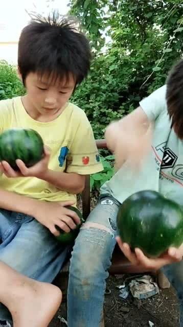 精神小伙在吃瓜,趣味横生的瓜界风云